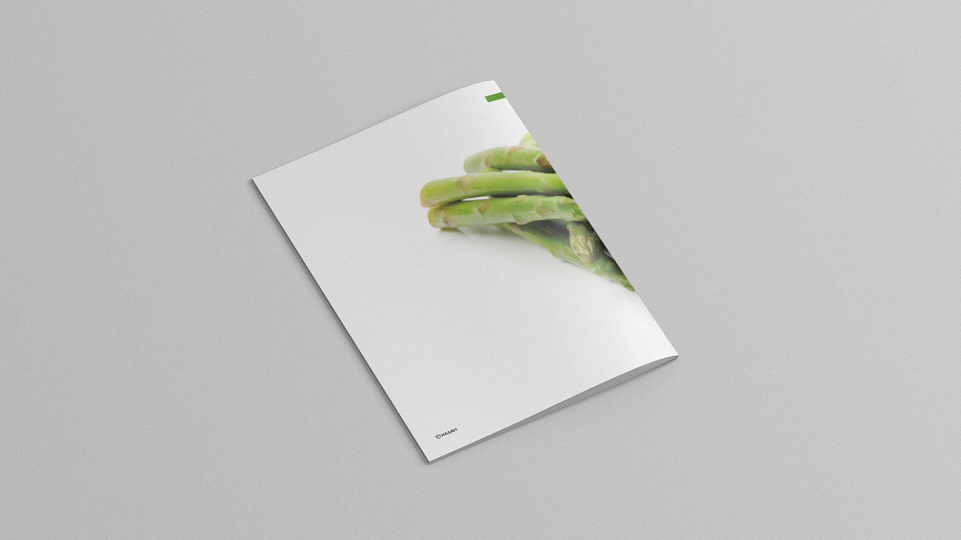 verduras_000_Capa 7