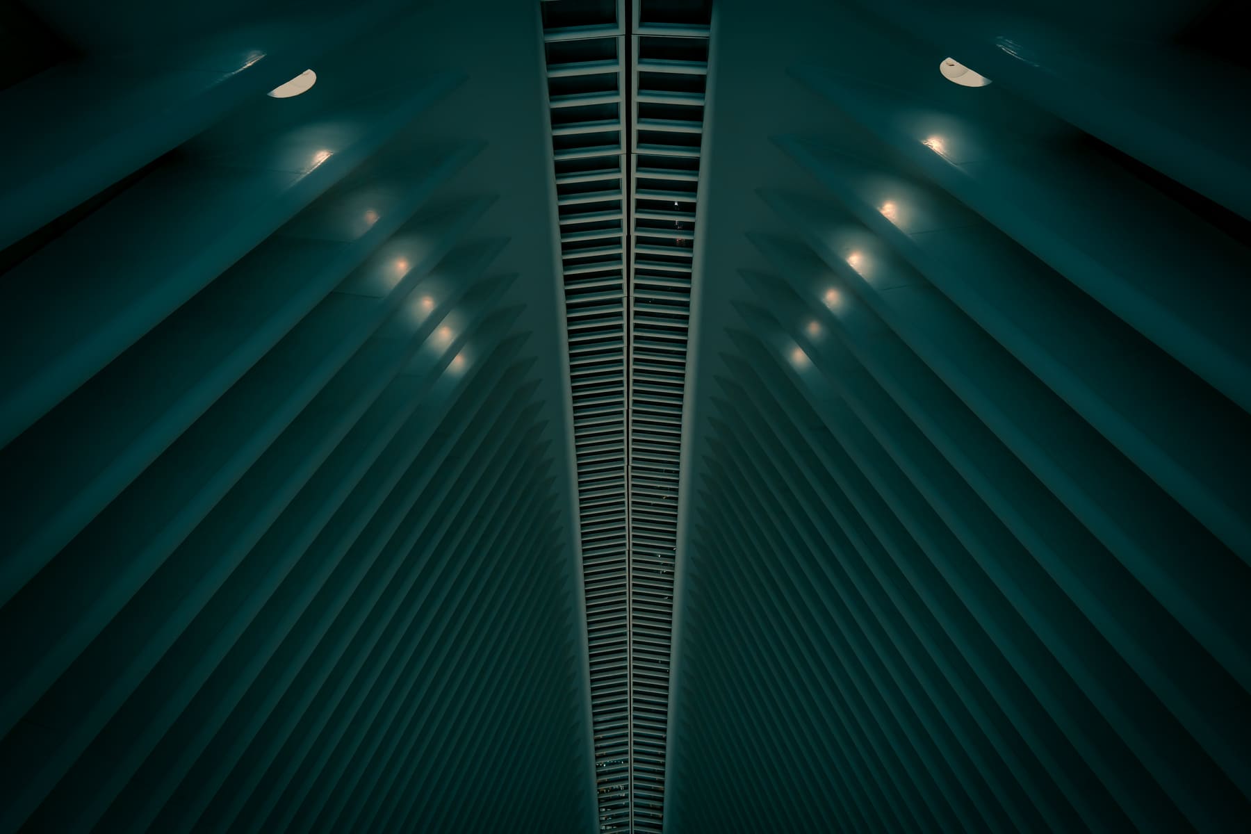 DSCF3318