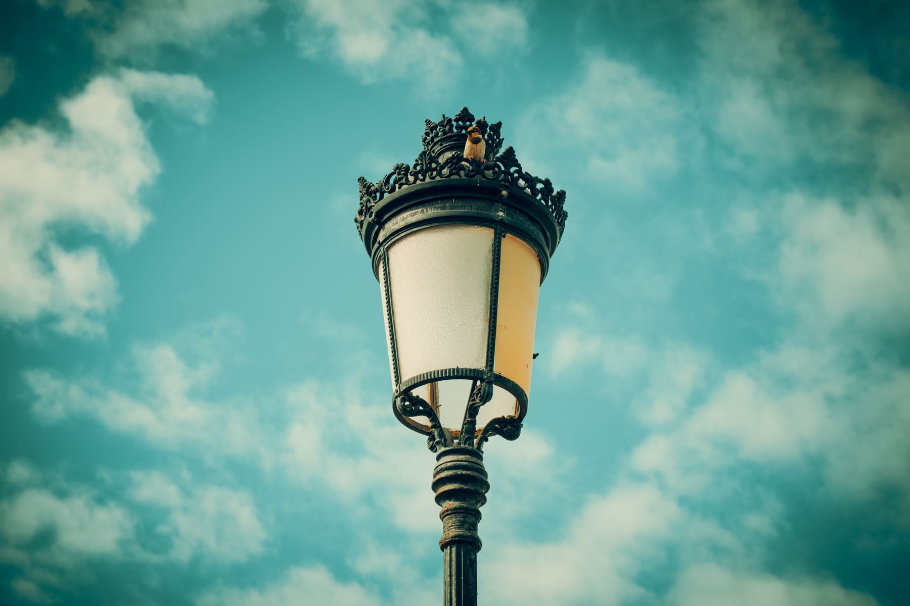 DSCF6549